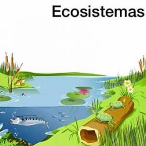 Ecosistemas
