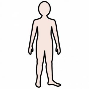 PARTES DEL CUERPO