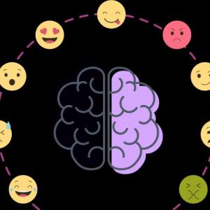 Portada del juego ¨Emotions¨ – Idiomas