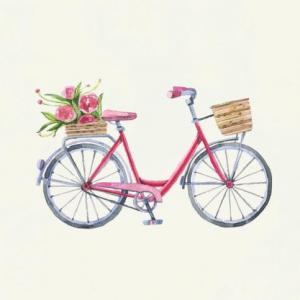 Moyens de transport