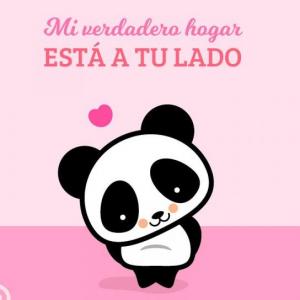 ANIVERSARIO
