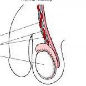 Testicular injury