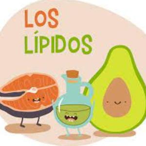 Que tanto conoces de los lípidos!