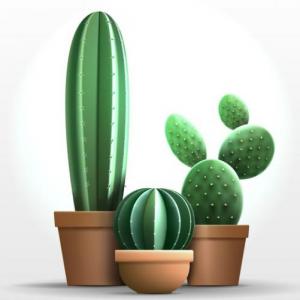 Imagen de portada del videojuego educativo: Las plantas, de la temática Ciencias