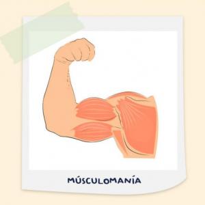 MÚSCULOMANÍA