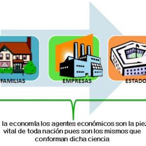 Rol de los agentes económicos