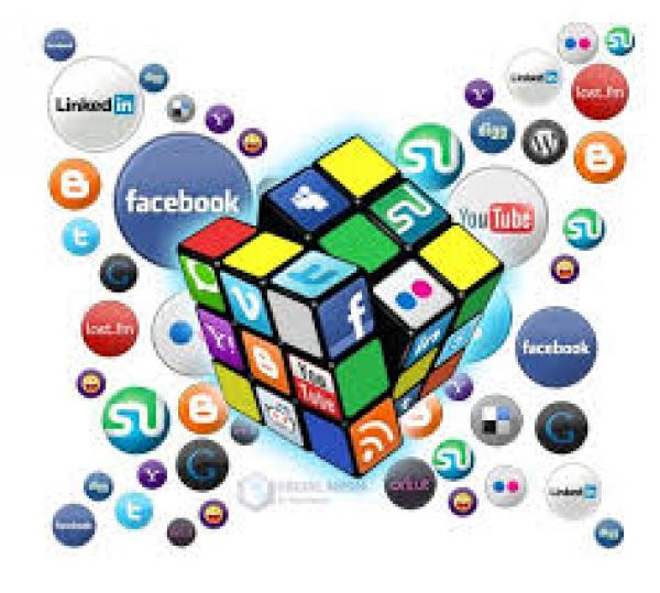 Social Networks