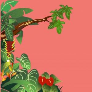 Descubre Formas y Colores