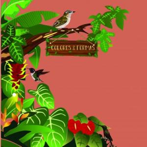 Descubre Formas y Colores