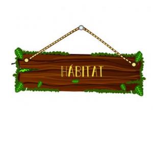Conoce mas sobre el hábitat de algunas aves 