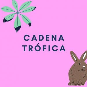Juego cadena trófica