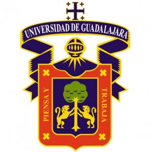 Jugando y aprendiendo