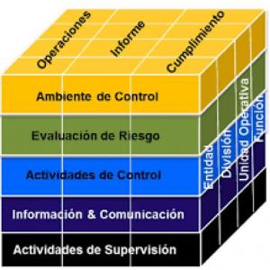 Componentes del Control Interno