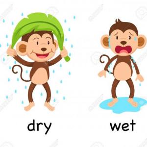 WET
