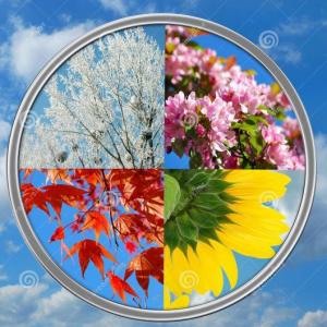 Seasons