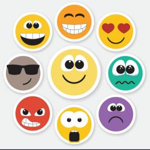FEELINGS AND EMOTIONS