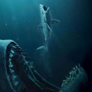 Actividad de los Tiburones