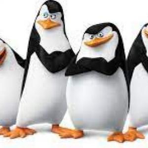 Tipos de animales 4