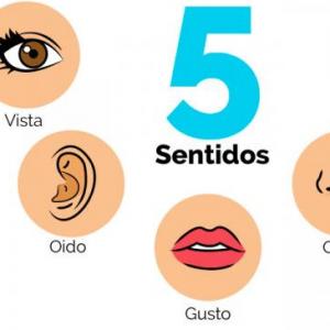 LOS SENTIDOS