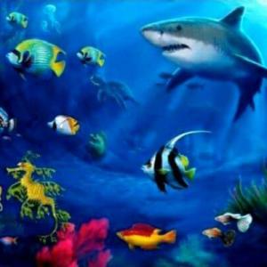 Imagen de portada del videojuego educativo: Animales acuáticos , de la temática Biología