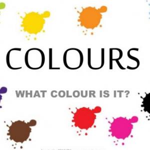 GUESS THE COLOUR
