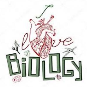  How much do you know about biology?
