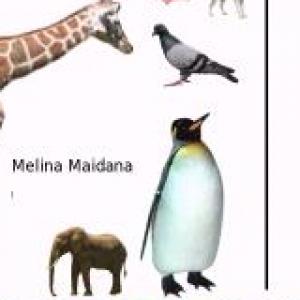 ANIMALES VERTEBRADOS E INVERTEBRADOS