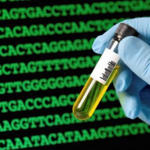 Trivia sobre la Secuenciación de genes (Fundamento del método Sanger)
