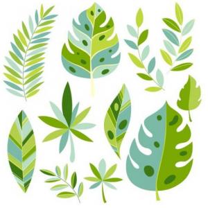 Las Plantas