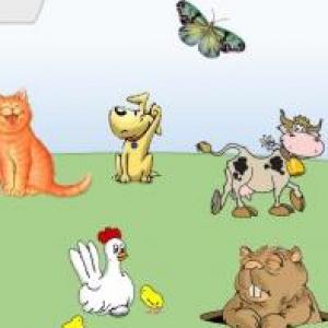 Los animales