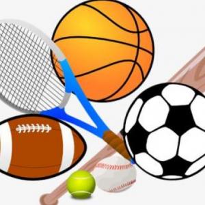guess the sport