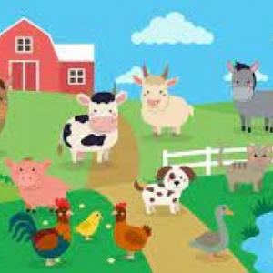 Animales presentes en la comunidad