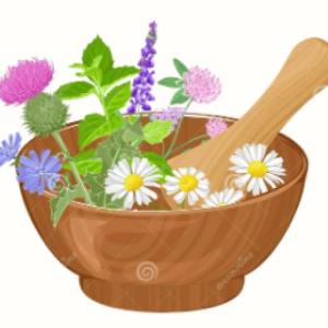 Plantas Medicinales 