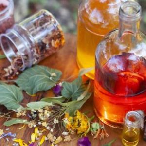 Memoria de plantas medicinales 