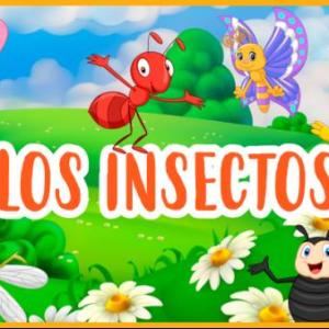 Los insectos en k'iche'