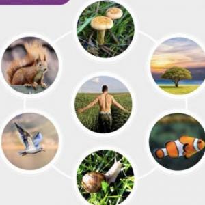 Characteristics of living things
