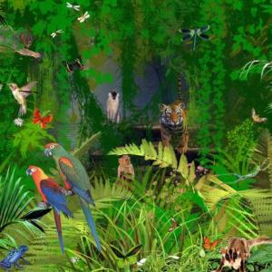 Animales de la selva