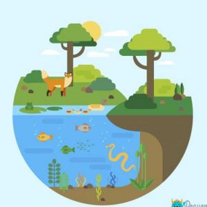 Identifiquemos los ambientes de hábitat de animales y plantas