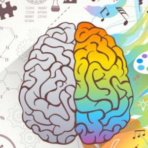 Desarrollo cognitivo y Maduración cerebral