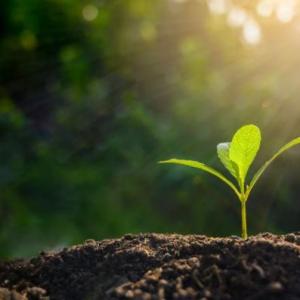 Intercambio de materia y energia con el ambiente