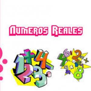 Portada del juego NUMEROS REALES – Matemáticas