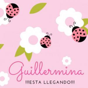 Juego de la Memoria