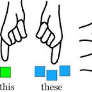 Demonstratives match