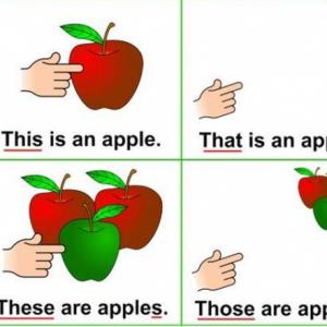Demonstratives