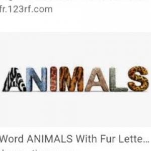Imagen de portada del videojuego educativo: Animals memo, de la temática Idiomas