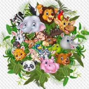 busquemos los animales 