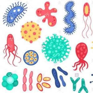Los microorganismos en el mundo2