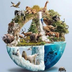 Animales en peligro de extinción