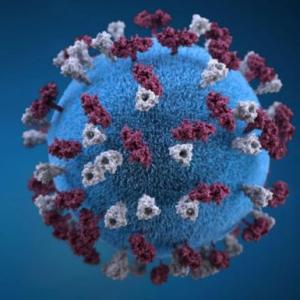 Trivia Coronavirus