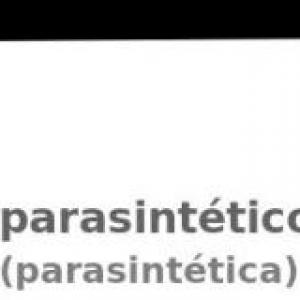 Aprende mientras juegas